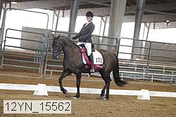 12yn_15562 thumbnail
