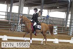 12yn_15563 thumbnail