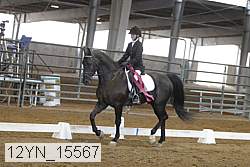 12yn_15567 thumbnail