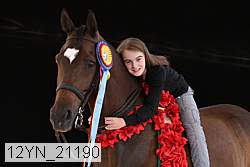 12yn_21190 thumbnail