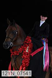 12yn_07541 thumbnail