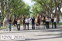 12yn_28353 thumbnail