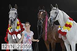 12yn_29359 thumbnail