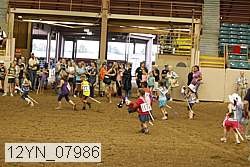 12yn_07986 thumbnail