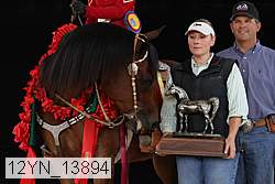 12yn_13894 thumbnail