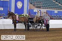 12r12_0029 thumbnail
