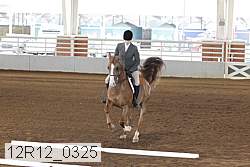12r12_0325 thumbnail
