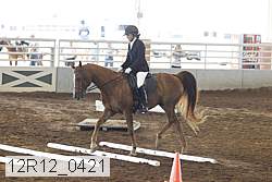 12r12_0421 thumbnail