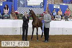12r12_6739 thumbnail