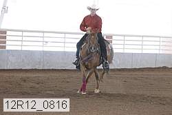 12r12_0816 thumbnail