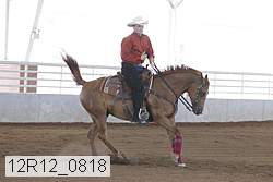 12r12_0818 thumbnail