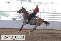 12r12_0820 thumbnail