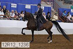 12r12_1236 thumbnail