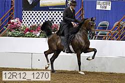 12r12_1270 thumbnail