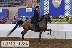 12r12_1284 thumbnail