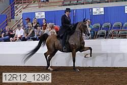 12r12_1296 thumbnail