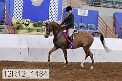 12r12_1484 thumbnail