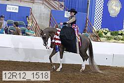 12r12_1518 thumbnail