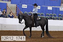 12r12_1741 thumbnail