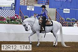 12r12_1743 thumbnail