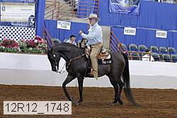 12r12_1748 thumbnail