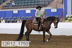 12r12_1750 thumbnail