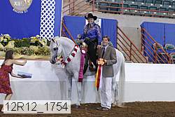 12r12_1754 thumbnail