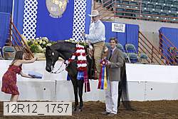 12r12_1757 thumbnail