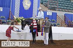 12r12_1758 thumbnail