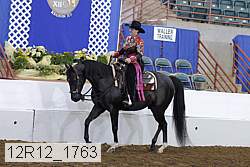 12r12_1763 thumbnail