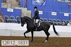 12r12_1831 thumbnail