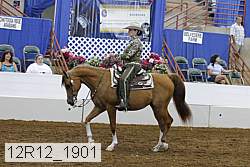 12r12_1901 thumbnail