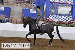 12r12_1973 thumbnail