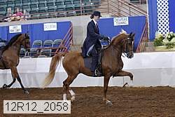12r12_2058 thumbnail