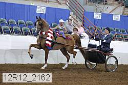 12r12_2162 thumbnail