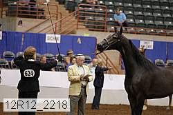 12r12_2218 thumbnail