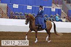 12r12_2286 thumbnail