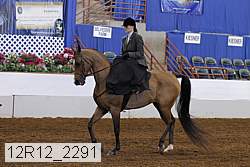 12r12_2291 thumbnail