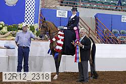 12r12_2318 thumbnail