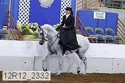 12r12_2332 thumbnail