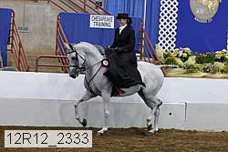 12r12_2333 thumbnail
