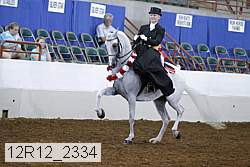 12r12_2334 thumbnail