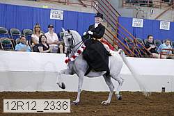 12r12_2336 thumbnail