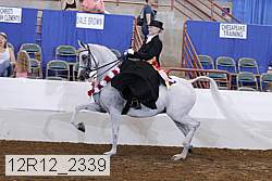 12r12_2339 thumbnail