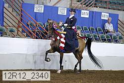 12r12_2340 thumbnail