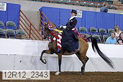 12r12_2343 thumbnail