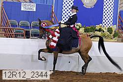 12r12_2344 thumbnail