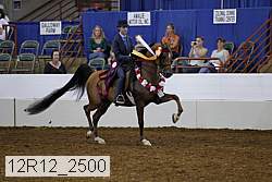 12r12_2500 thumbnail