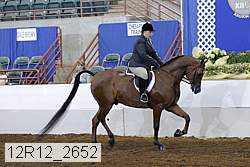12r12_2652 thumbnail