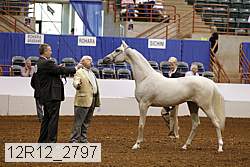 12r12_2797 thumbnail
